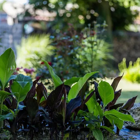 بيت للعطل Elite Lacquy