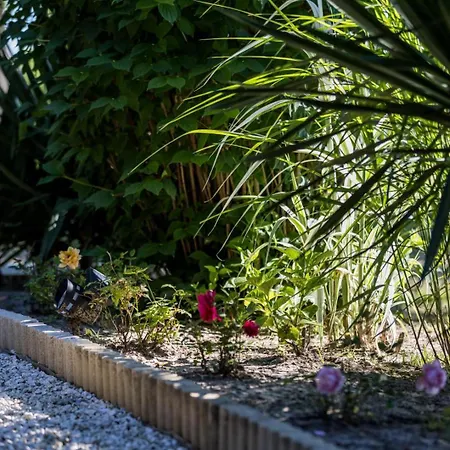 بيت للعطل Elite