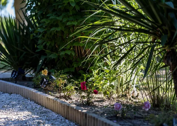 Semesterbostad Elite